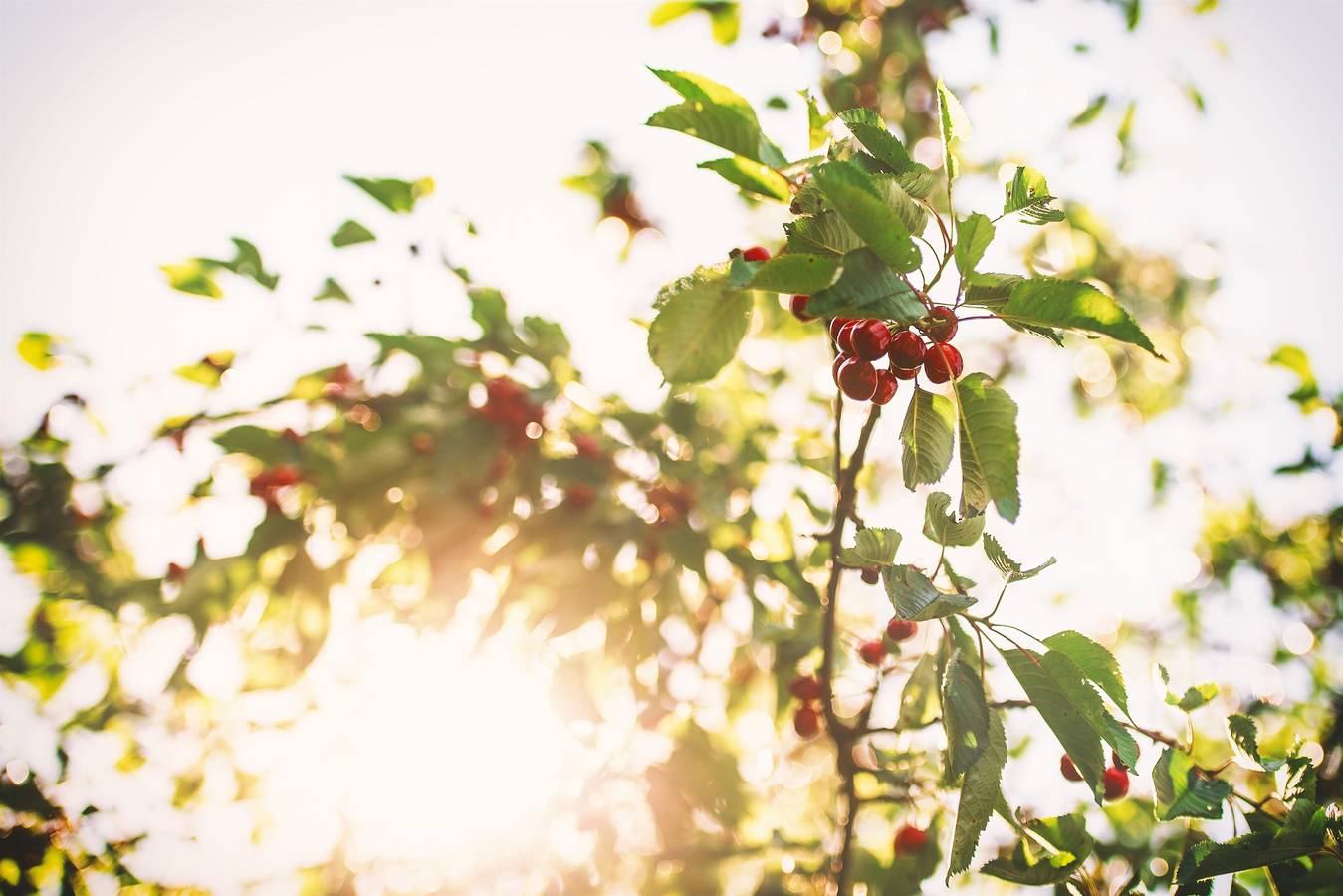 Ganze Ferienwohnung, Apartment Panorama bis 3 Nächte in Virgen, Osttirol