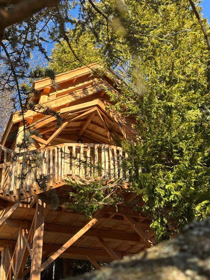 Hôtel pour 7 personnes, avec jardin ainsi que vue sur le lac et vue, animaux acceptés dans Lac Chambon - 2