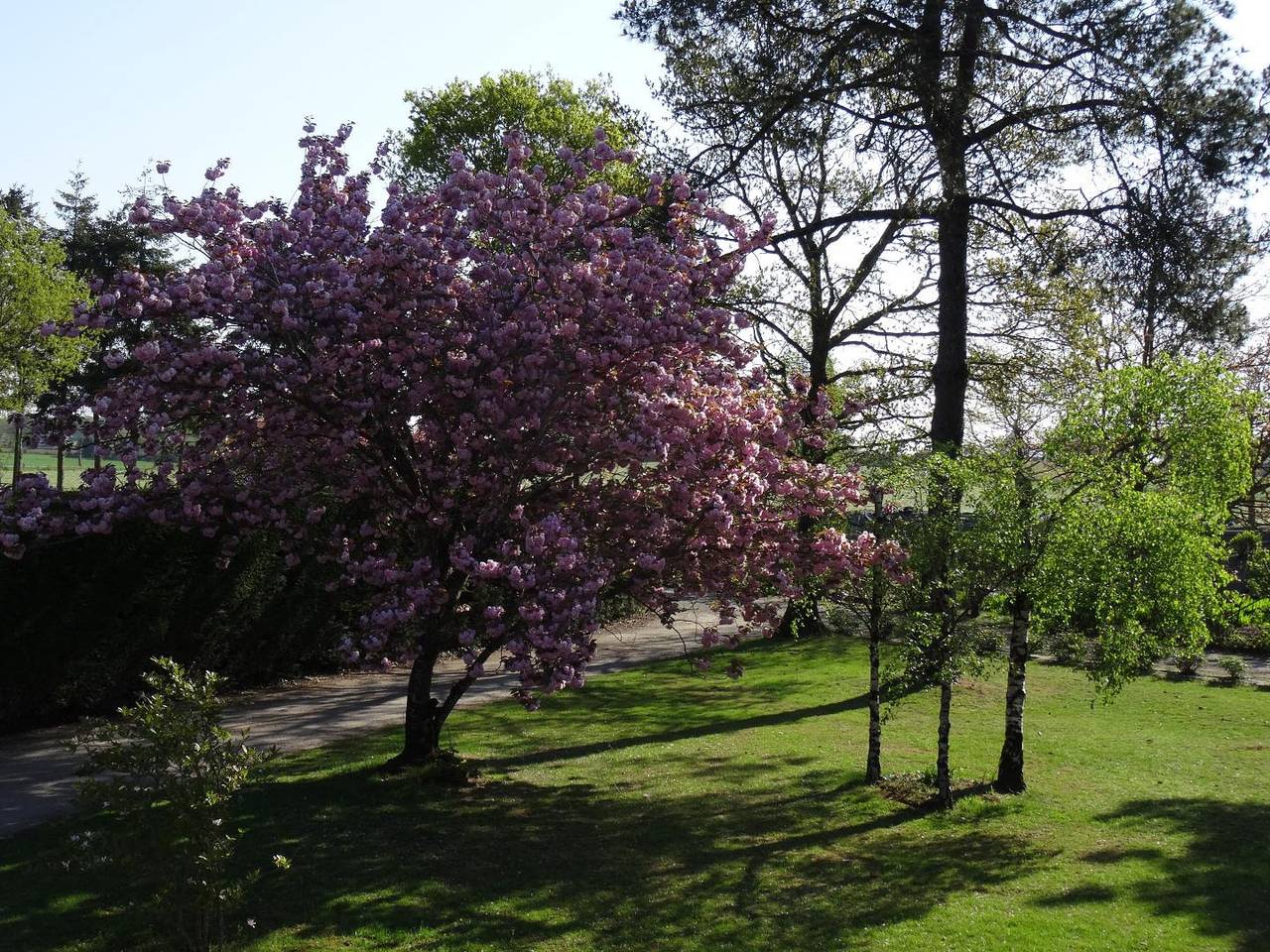 La Sapinière in Noyal-Muzillac, Côte des Mégalithes