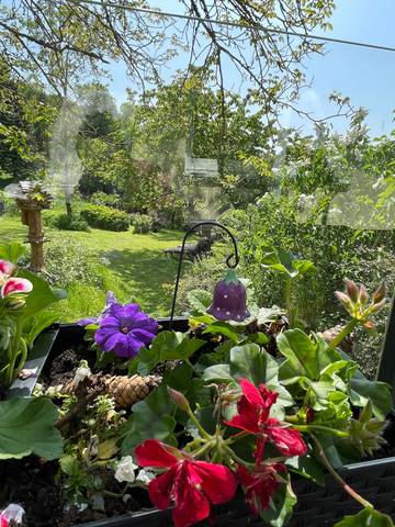 Chalet für 2 Personen in Benshausen, Rennsteig, Bild 1