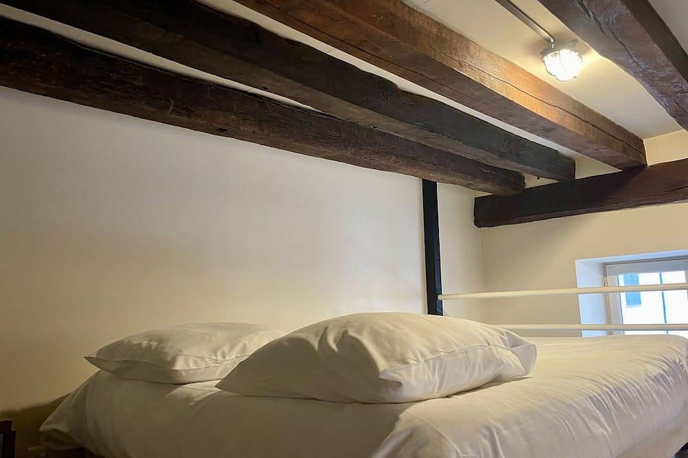 Apartamento entero, Le Cadet Roussel-Apartamento-Club-Baño privado con ducha-Vista a la Ciudad in Auxerre, Auxerre region