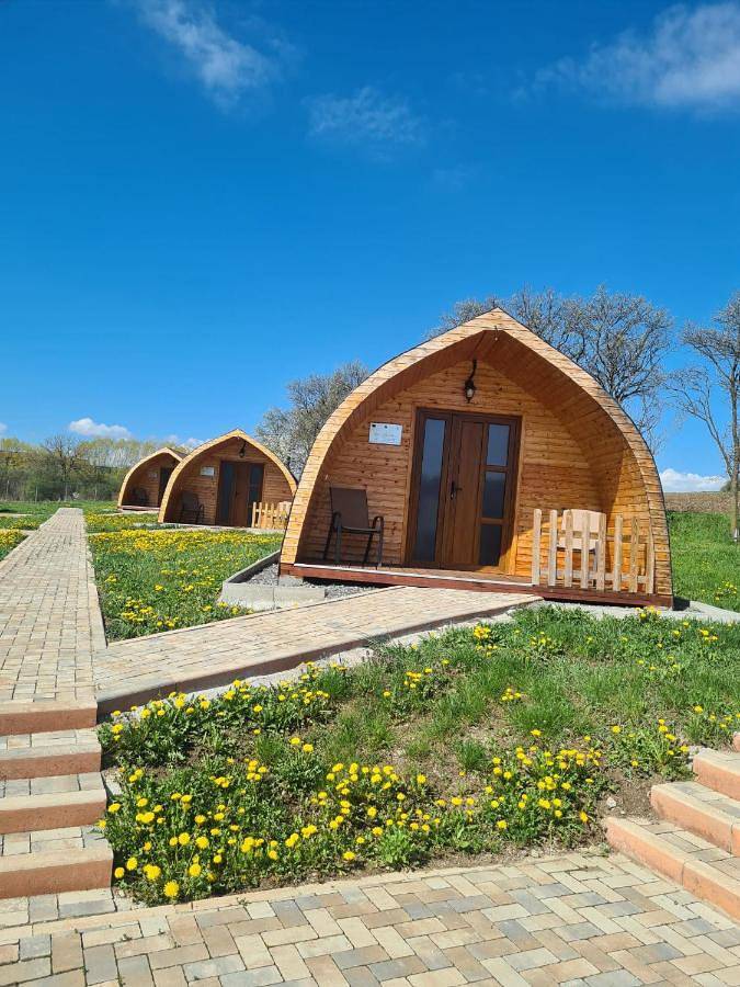 Location de vacances pour 4 personnes, avec vue et jardin dans Cluj-Napoca