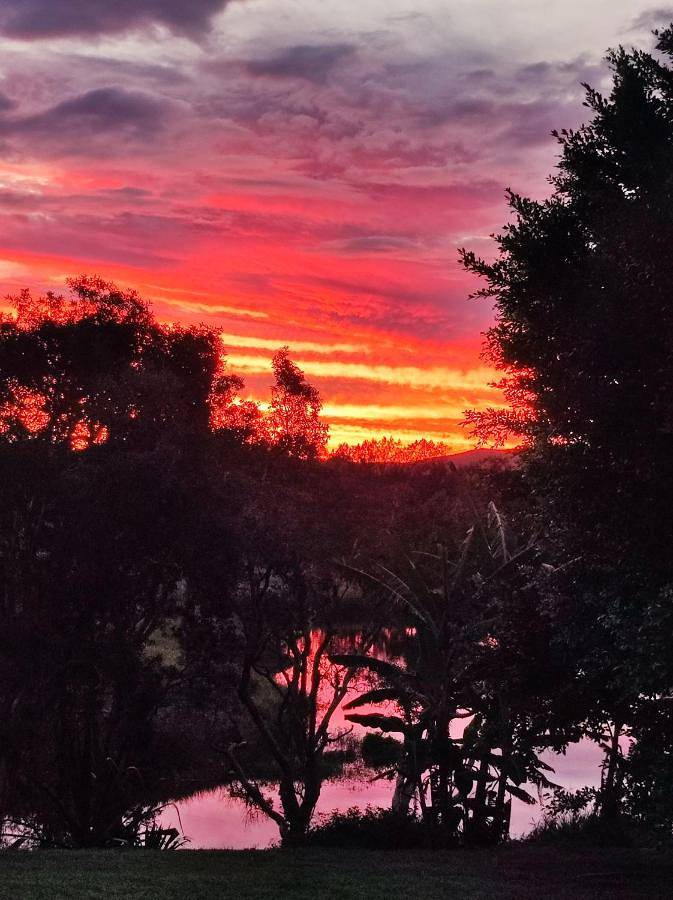Chambre d’hôte pour 2 personnes, avec terrasse ainsi que vue et jardin En Nouvelle-Calédonie - 3