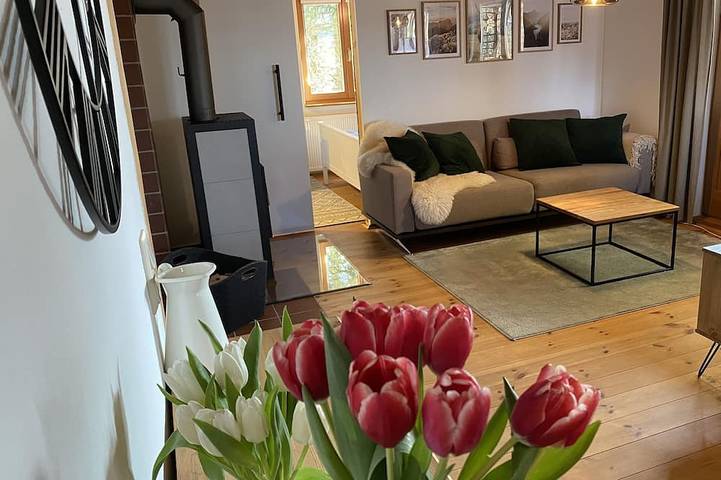 Blockhütte für 3 Personen, mit Terrasse und Garten in Steinbach-Hallenberg