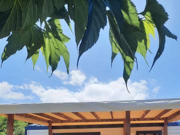 Camping pour 4 Personnes dans Les Sables-d'Olonne, Vendée, Photo 1