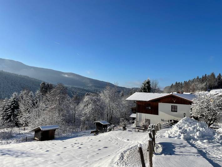 Bauernhof für 10 Personen, mit Garten und Terrasse im Bayerischer Wald - 3