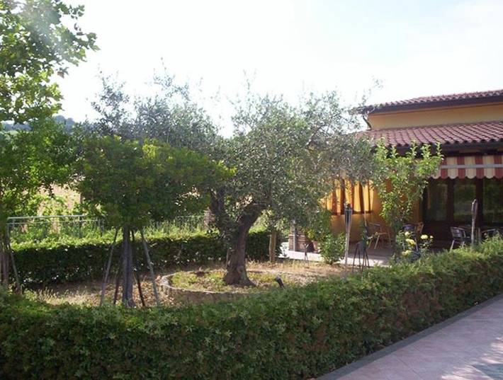 Appartamento per 3 persone, con panorama e giardino in Bertinoro