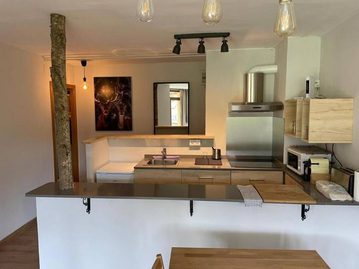 Gîte pour 6 personnes, avec vue et jardin à La Molina - 3