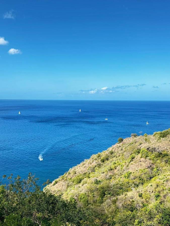 Location de vacances pour 10 personnes, avec vue ainsi que piscine et jardin à Le Carbet - 4