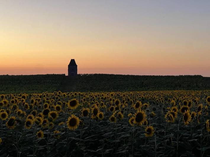 Chambre d’hôte pour 2 personnes, avec jardin et piscine ainsi que terrasse et vue, animaux acceptés à Saint-Astier - 2