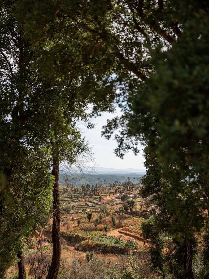 Hôtel pour 2 personnes, avec vue ainsi que piscine et jardin, animaux acceptés dans Nelas - 2