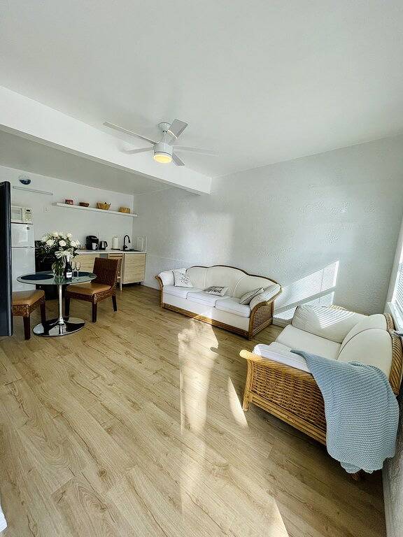 💙Blue flower (🦋Pet friendly) in Largo, Pinellas County