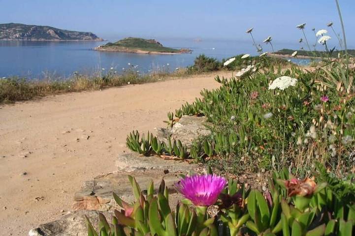Gîte pour 5 personnes, avec balcon à Monte Petrosu
