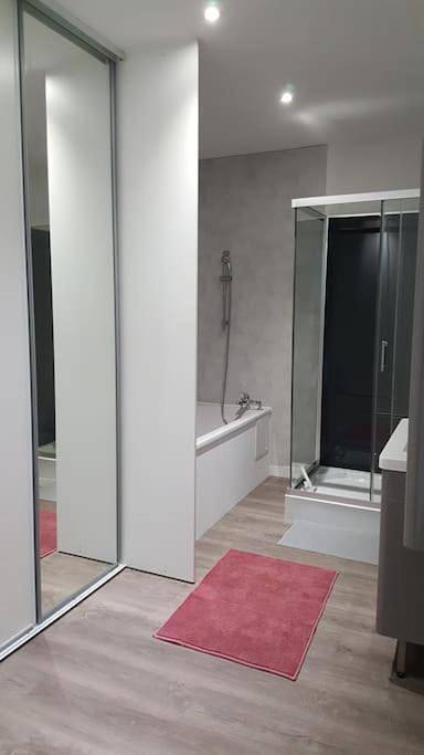 Appartement entier, Aux Docks Rémois in Bétheny, Marne
