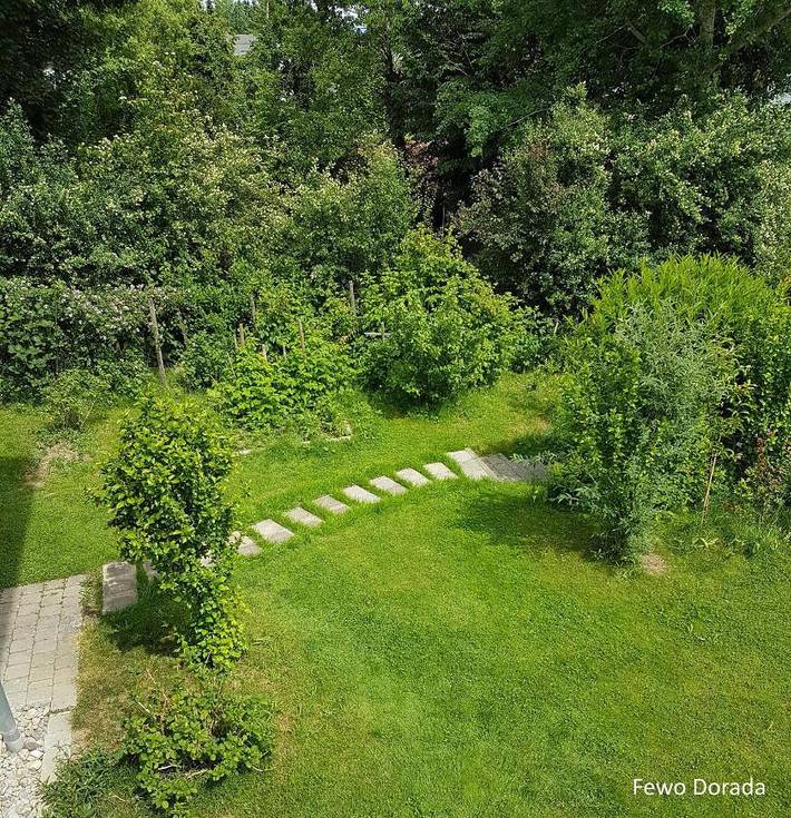 Gîte pour 3 personnes, avec jardin ainsi que vue et piscine à Neukirch - 2