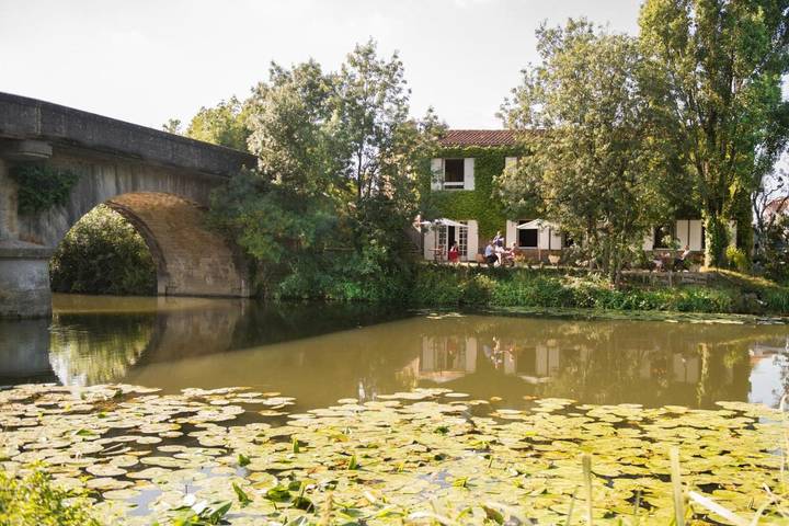 Hôtel pour 2 personnes, avec jardin et vue, animaux acceptés à Velluire - 4