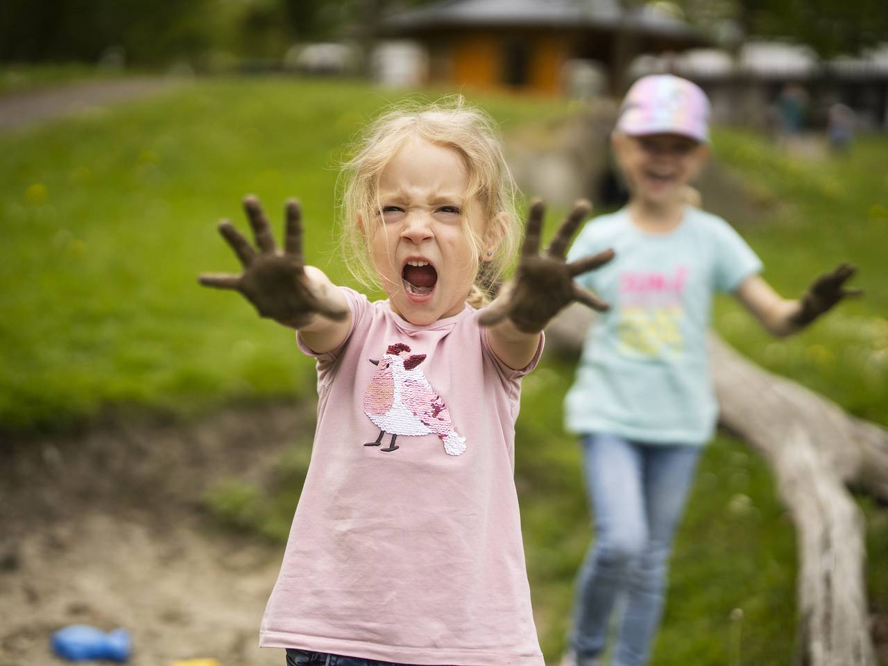 Landhaus Schulte-Göbel - 1 Kuckucksnest in Schmallenberg, Hochsauerlandkreis