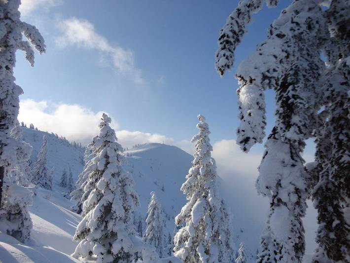 Ferienwohnung für 2 Personen, mit Garten in Alpenland Tegernsee Schliersee - 4