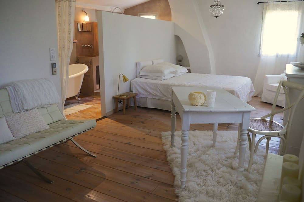 Saltwater swimming pool14m charming mas standing on 2 hectares of countryside in Théziers, Nimes region