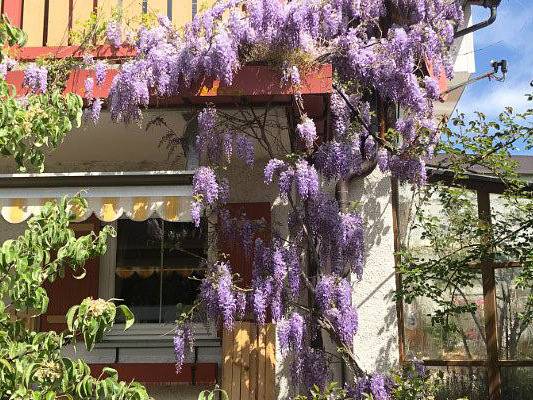 Gîte pour 5 personnes, avec balcon/terrasse et balcon, adapté aux familles à Bad Endorf - 4