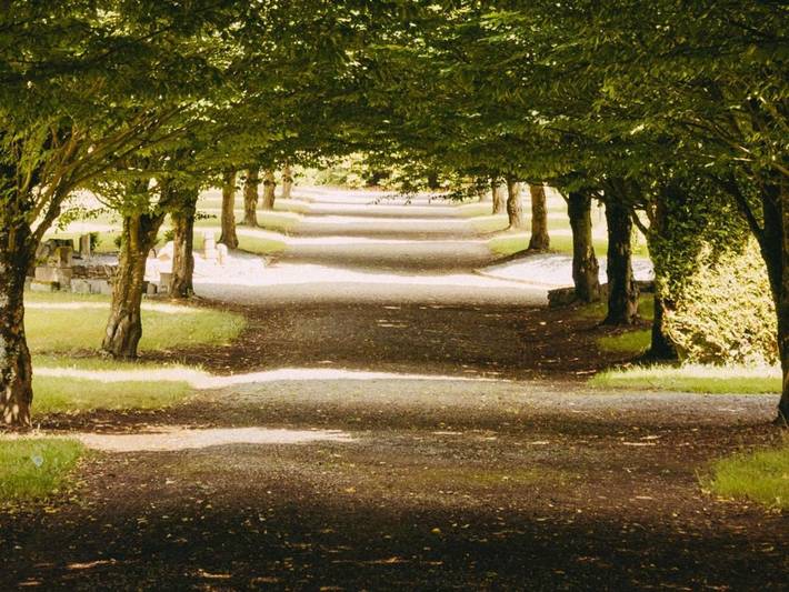 Hôtel pour 2 personnes, avec jacuzzi et sauna ainsi que piscine et jardin, animaux acceptés à Le Tronchet - 3