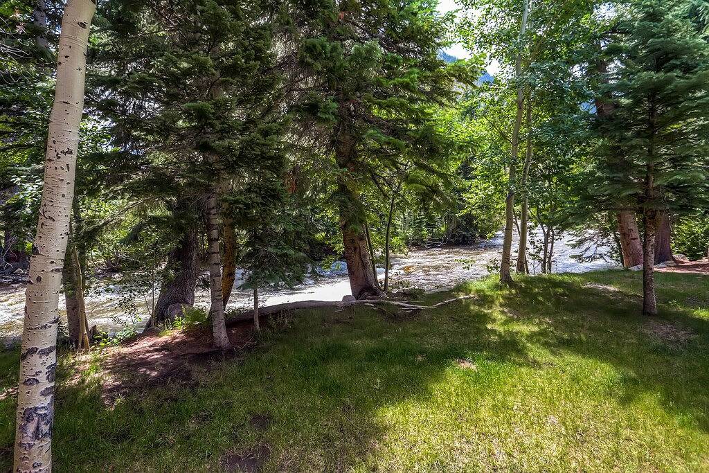Ganze Wohnung, Cozy Creekside Condo (Erdgeschoss, End-Gerät) in Frisco, Arapaho and Roosevelt National Forests