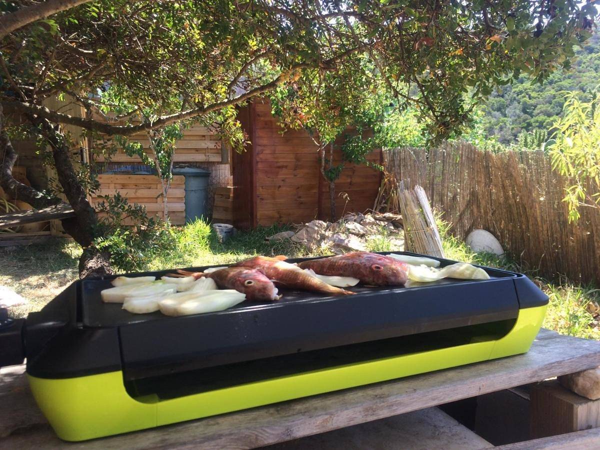 Rc d'un Cabanon écologique ile du levant Naturiste reservable du samedi au samedi in Hyeres, Parc national de Port-Cros