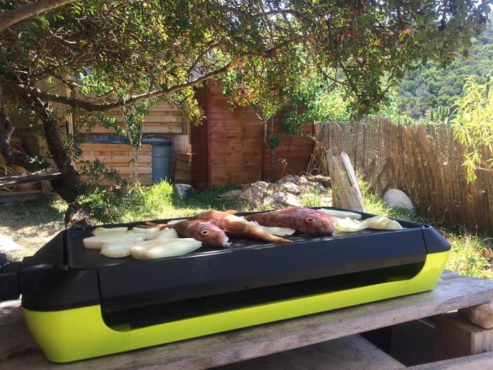 Location de vacances pour 2 personnes, avec jardin et vue, animaux acceptés dans Île du Levant - 3