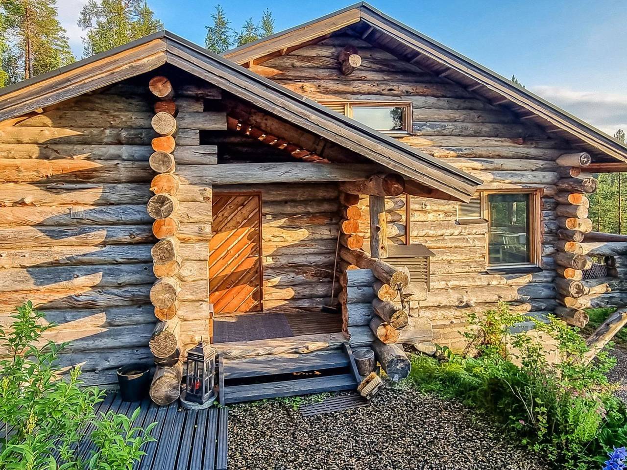 Sallanhelmi b1 in Sallatunturi, Lappland