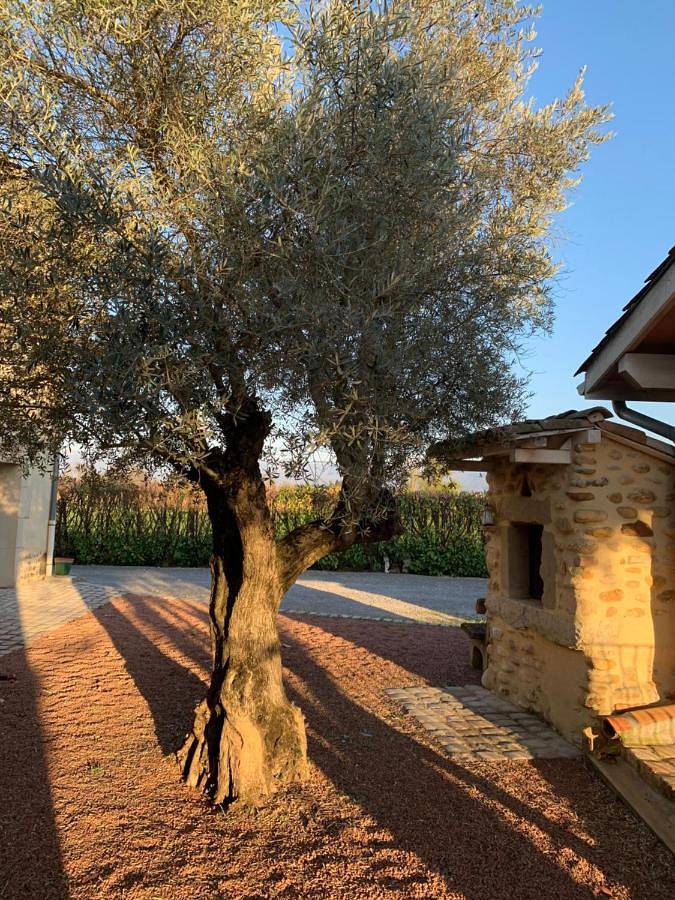 Deluxe Double Room in Chabeuil, Région de Valence