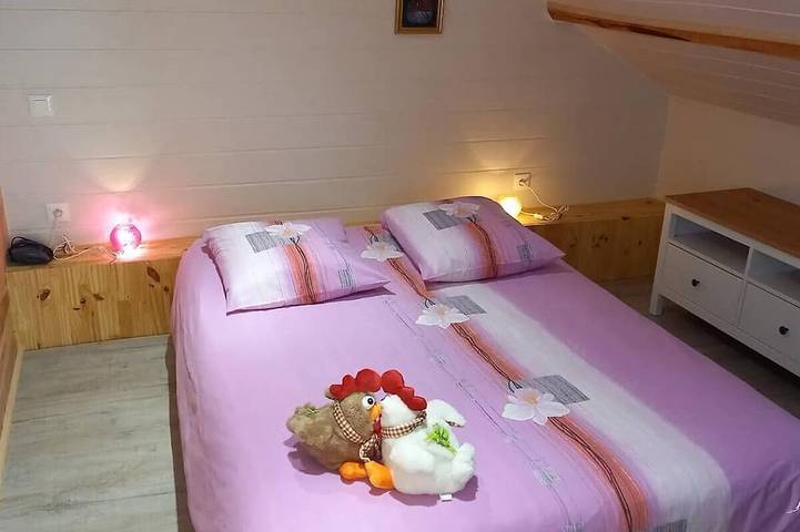 Gîte pour 4 personnes, avec jacuzzi et jardin à Prunières - 3