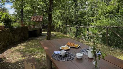 Agriturismo per 6 Persone in Pescia, Provincia di Pistoia, Foto 2