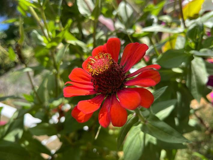 Gîte pour 4 personnes, avec vue et jardin dans Takamaka - 3