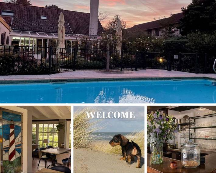 Hotel für 2 Personen, mit Terrasse und Garten sowie Pool in Nieuw-Haamstede - 3