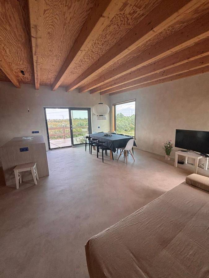 Maison d’hôte pour 2 personnes, avec Balcon ainsi que Terrasse et Vue en Roumanie