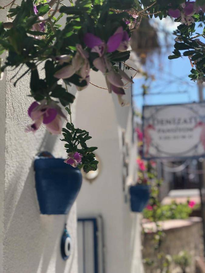 Hostel för 2 Personer, med utsikt och trädgård i Bodrum