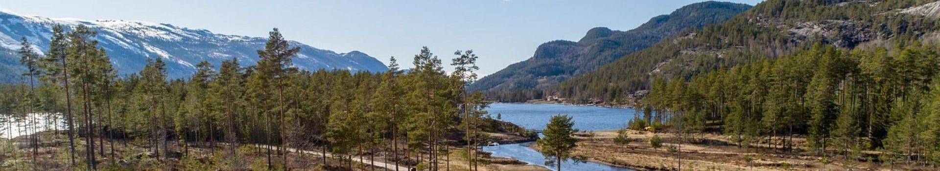 Ferienhaus für 6 Personen, mit Terrasse und Garten in Telemark - 4