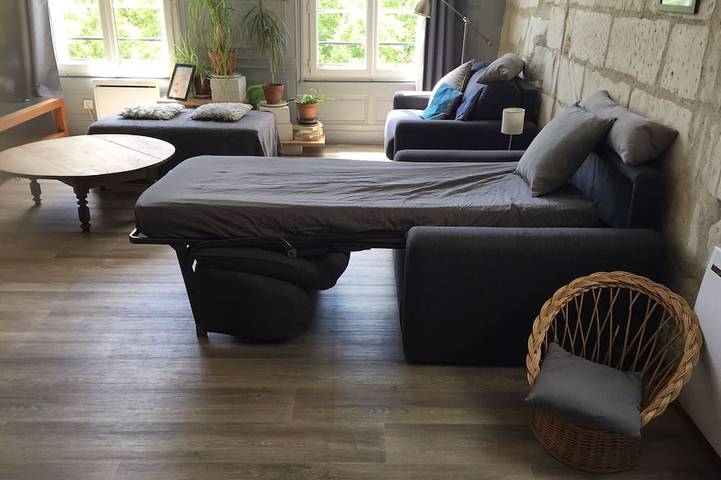 Appartement entier, Loft Classé 60 m2 plein sud Face aux Halles in Tours, Région de Tours