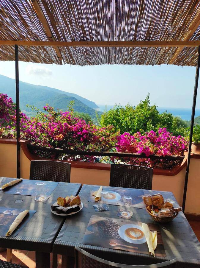 Casa de rosa in Centola, Cilento Coast