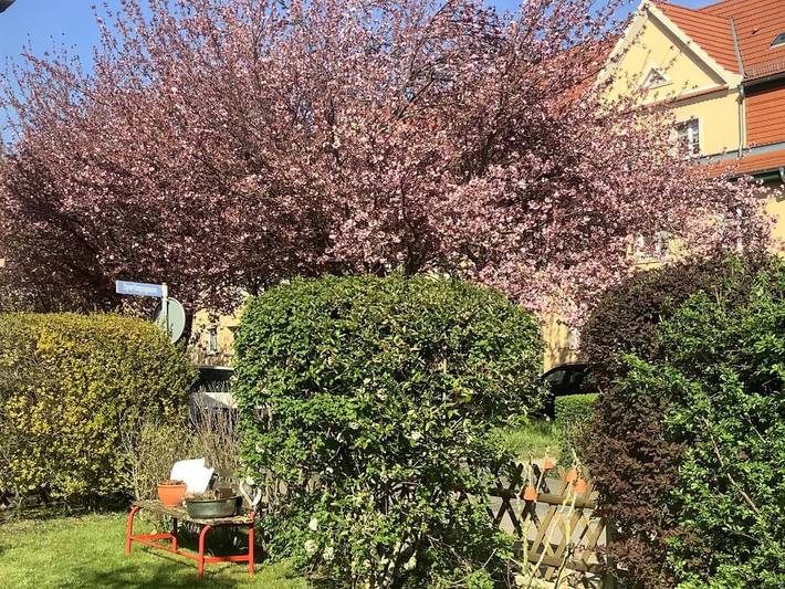 Ferienwohnung für 2 Personen, mit Garten in Sachsen-Anhalt - 4