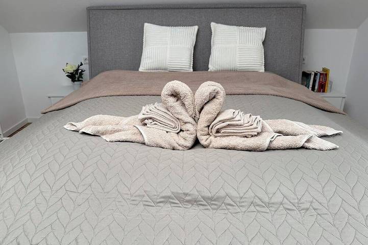 Ganze Wohnung, 2. Zi. Dachwohnung mit Burgblick & Kingsize Bett in Freudenberg am Main, Taubertal