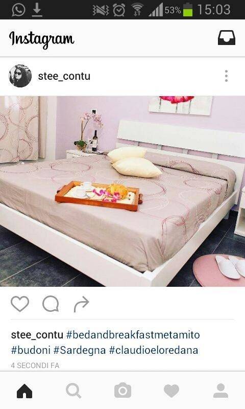 Chambre d’hôte pour 3 personnes, avec jardin et vue, animaux acceptés à Budoni - 4