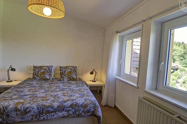 Gîte pour 10 personnes, avec jardin à Belmont-de-la-Loire - 4