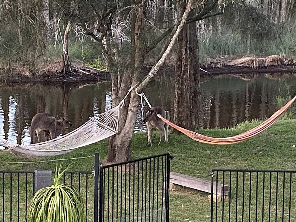 Guesthouse for 2 People in Lake Conjola, New South Wales