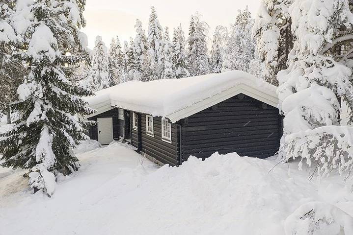 Ferienhaus für 8 Personen, mit Terrasse und Sauna in Trysil - 2