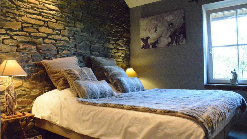 Maison de vacances pour 8 personnes, avec jardin et terrasse, animaux acceptés en Belgique