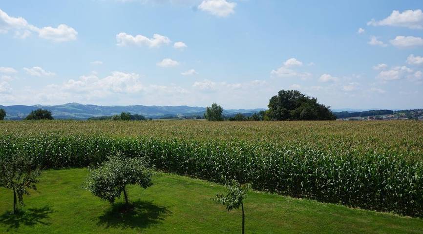Ferienwohnung für 6 Personen, mit Garten und Terrasse in Mostviertel-Eisenwurzen - 2