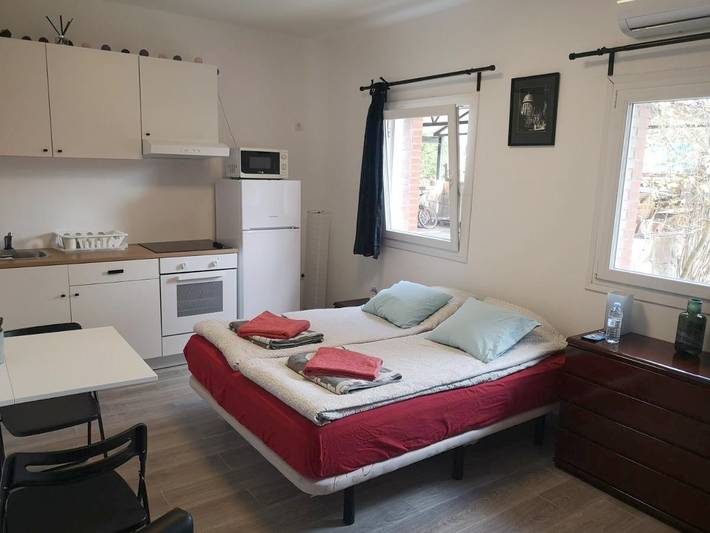 Gîte pour 3 personnes, avec jardin et sauna à Villaviciosa de Odón - 3
