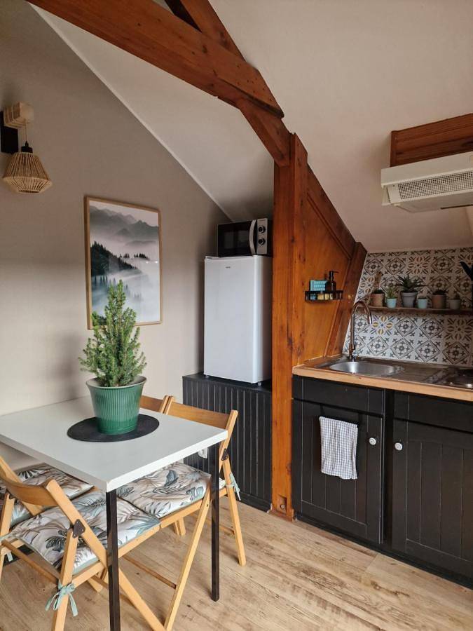 Gîte pour 4 personnes, avec jardin et vue sur le lac ainsi que vue et piscine dans Grand lac de Laffrey - 4