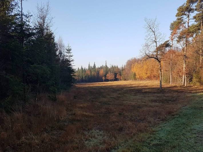 Bauernhof für 4 Personen, mit Terrasse und Garten, kinderfreundlich in Dänemark - 4